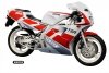 Hasegawa 21517-BK17 Yamaha TZR250 (3MA) (1989) 1/12